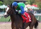 Say a Novena won 3 races in 2011, including the Brandywine Stakes.
