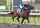 Middie streaks home to win the Washington Park Handicap under Francisco Torres.