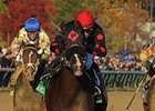 Musical Romance
<br><a target="blank" href="http://www.bloodhorse.com/horse-racing/photo-store?ref=http%3A%2F%2Fpictopia.com%2Fperl%2Fgal%3Fprovider_id%3D368%26ptp_photo_id%3D9728886%26ref%3Dstory">Order This Photo</a>
