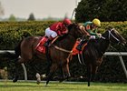 Perfect Officer (left) catches Great Mills late to win the Shakertown.<br><a target="blank" href="http://photos.bloodhorse.com/AtTheRaces-1/at-the-races-2012/22274956_jFd5jM#!i=1794625678&k=GSfdw3D">Order This Photo</a>