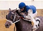 Aspenglow takes a six-race win streak into the Barbara Fritchie Handicap.