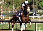 Brown Brings Talent Times Two Into F&M Turf Brown Brings Talent Times Two Into F&M Turf