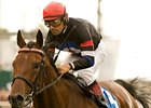 The Usual Q.T. is the morning line favorite for the Pacific Classic. <br><a target="blank" href="http://www.bloodhorse.com/horse-racing/photo-store?ref=http%3A%2F%2Fpictopia.com%2Fperl%2Fgal%3Fprovider_id%3D368%26ptp_photo_id%3D9116904%26ref%3Dstory">Order This Photo</a>