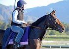 Euros Arrive, Take to Track at Breeders' Cup Euros Arrive, Take to Track at Breeders' Cup