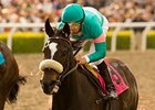 Zenyatta gets through traffic for win #15.<br><a target="blank" href="http://www.bloodhorse.com/horse-racing/photo-store?ref=http%3A%2F%2Fpictopia.com%2Fperl%2Fgal%3Fprovider_id%3D368%26ptp_photo_id%3D8839280%26ref%3Dstory">Order This Photo</a>