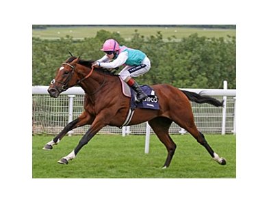 Frankel dominates the Sussex Stakes at Glorious Goodwood.
<br><a target="blank" href="http://www.bloodhorse.com/horse-racing/photo-store?ref=http%3A%2F%2Fpictopia.com%2Fperl%2Fgal%3Fprovider_id%3D368%26ptp_photo_id%3D9617438%26ref%3Dstory">Order This Photo</a>