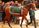 Sister to Midday Tops Tattersalls Session Sister to Midday Tops Tattersalls Session