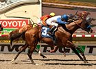 Capital Account fights off Coil to win the Pat O'Brien Stakes.