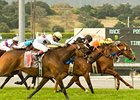 Foxysox (right) and Black Mamba (center) finished just a nose apart in last year's Santa Barbara.<br><a target="blank" href="http://www.bloodhorse.com/horse-racing/photo-store?ref=http%3A%2F%2Fpictopia.com%2Fperl%2Fgal%3Fprovider_id%3D368%26ptp_photo_id%3D4231295%26ref%3Dstory">Order This Photo</a>