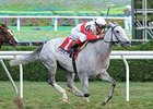 Hit It Rich Has Golden Win in Glens Falls Hit It Rich Has Golden Win in Glens Falls