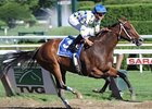 Dual grade I winner Champagne d'Oro will be sold at the Fasig-Tipton November sale.