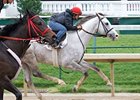 Cozzetti works towards the Preakness.
