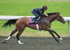 Summer Soiree will compete against Pontenuovo.