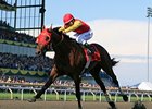 Eye of the Leopard takes on older foes in the Autumn Stakes.