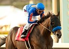 Game On Dude takes on 4 in the Native Diver.
