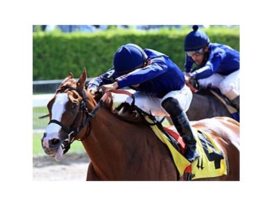 Spectacular Sky will try to secure the first graded stakes win of her career when in the Vagrancy Handicap.