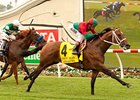 Jeranimo flies home to win the Eddie Read.