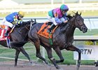 Itsmyluckyday won the 2013 Holy Bull.