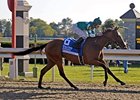 Dream Empress Could Shine at BC Dream Empress Could Shine at BC