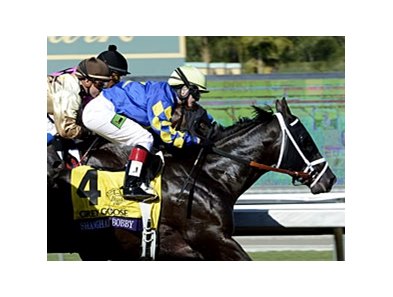 Shanghai Bobby
<br><a target="blank" href="http://photos.bloodhorse.com/BreedersCup/2012-Breeders-Cup/Juvenile/26130125_Wz4K8f#!i=2194408908&k=bKGH7LF">Order This Photo</a>