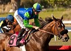 Include Me Out won the 2013 Desert Stormer.