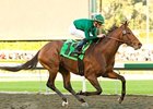 Sir Beaufort Stakes winner Gio Ponti will carry high weight of 123 pounds in the Strub.<br><a target="blank" href="http://www.bloodhorse.com/horse-racing/photo-store?ref=http%3A%2F%2Fpictopia.com%2Fperl%2Fgal%3Fprovider_id%3D368%26ptp_photo_id%3D7226458%26ref%3Dstory">Order This Photo</a>