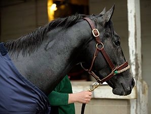 General Quarters Bounces Back From Injury General Quarters Bounces Back From Injury
