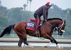 Chips All In
<br><a target="blank" href="http://photos.bloodhorse.com/BreedersCup/2013-Breeders-Cup/Breeders-Cup/32986083_QMHXWK#!i=2859460301&k=K9V2ccF">Order This Photo</a>