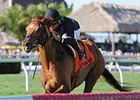 Manchurian High gets going late to win the Sunshine Millions Turf Stakes.<br><a target="blank" href="http://photos.bloodhorse.com/AtTheRaces-1/At-the-Races-2015/i-4hvmLm6">Order This Photo</a>