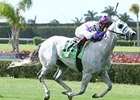 Wesley comes into the Dixie off of a sharp win in the Miami Mile.