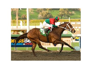 Jeranimo powers home in the Strub.<br><a target="blank" href="http://www.bloodhorse.com/horse-racing/photo-store?ref=http%3A%2F%2Fpictopia.com%2Fperl%2Fgal%3Fprovider_id%3D368%26ptp_photo_id%3D8792505%26ref%3Dstory">Order This Photo</a>