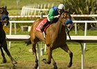 Tres Borrachos and Tyler Baze upset the Swaps.
