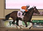 Texas Bling wins the Springboard Mile.