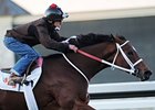 Havre de Grace
<br><a target="blank" href="http://www.bloodhorse.com/horse-racing/photo-store?ref=http%3A%2F%2Fpictopia.com%2Fperl%2Fgal%3Fprovider_id%3D368%26ptp_photo_id%3D9716259%26ref%3Dstory">Order This Photo</a>