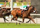 Juddmonte's Emollient Thriving in California Juddmonte's Emollient Thriving in California
