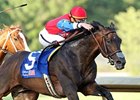 It's a Bird finished first in the 2009 Oaklawn Handicap, but was disqualified.