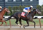 Pletcher vs. Rodriguez in Toboggan Pletcher vs. Rodriguez in Toboggan