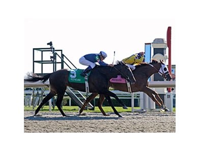 Ashland Stakes winner Hooh Why is the morning line favorite for the Black Eyed Susan May 16 at Pimlico. <br><a target="blank" href="http://www.bloodhorse.com/horse-racing/photo-store?ref=http%3A%2F%2Fgallery.pictopia.com%2Fbloodhorse%2Fgallery%2FS696686%2Fphoto%2F8037841%2F%3Fo%3D1">Order This Photo</a>