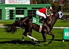 Halo Dolly seeks her first victory of the year in the Wilshire Handicap.