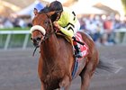 Fountain of Youth winner Quality Road<br><a target="blank" href="http://www.bloodhorse.com/horse-racing/photo-store?ref=http%3A%2F%2Fpictopia.com%2Fperl%2Fgal%3Fprovider_id%3D368%26ptp_photo_id%3D7832417%26ref%3Dstory">Order This Photo</a>