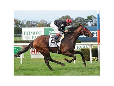 Point of Entry
