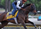 Game On Dude<br><a target="blank" href="http://photos.bloodhorse.com/BreedersCup/2013-Breeders-Cup/Breeders-Cup/32986083_QMHXWK#!i=2867189173&k=B9K4nmq">Order This Photo</a>