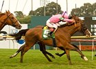 Fantastic Pick (outside) outnods Blue Panis in the Oak Tree Derby.<br><a target="blank" href="http://www.bloodhorse.com/horse-racing/photo-store?ref=http%3A%2F%2Fpictopia.com%2Fperl%2Fgal%3Fprovider_id%3D368%26ptp_photo_id%3D9235295%26ref%3Dstory">Order This Photo</a>
