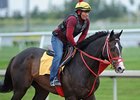 Trinniberg
<br><a target="blank" href="http://photos.bloodhorse.com/AtTheRaces-1/at-the-races-2013/27257665_QgCqdh#!i=2346334250&k=r5ZpBmX">Order This Photo</a>