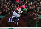 Shonan Adela wins the Hanshin Juvenile Fillies.
<br><a target="blank" href="http://photos.bloodhorse.com/AtTheRaces-1/At-the-Races-2014/i-XpFcnHJ">Order This Photo</a>