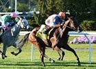 Alterite comes home strong to win the Garden City Stakes.<br><a target="blank" href="http://photos.bloodhorse.com/AtTheRaces-1/at-the-races-2013/27257665_QgCqdh#!i=2765531180&k=P2WGkCB">Order This Photo</a>