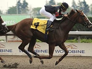 Sugar Swirl Scores in Ballerina Tune-Up Sugar Swirl Scores in Ballerina Tune-Up