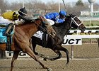 Wedding Toast Hangs On to Win Comely Wedding Toast Hangs On to Win Comely