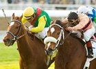Tizfiz outlasts a wide-eyed Marzelline to win the San Gorgonio. <br><a target="blank" href="http://www.bloodhorse.com/horse-racing/photo-store?ref=http%3A%2F%2Fpictopia.com%2Fperl%2Fgal%3Fprovider_id%3D368%26ptp_photo_id%3D7311175%0D%0A%26ref%3Dstory">Order This Photo</a>