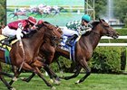 Five horses return from the Lake George, including Centre Court, who won the Lake George.<br><a target="blank" href="http://photos.bloodhorse.com/AtTheRaces-1/at-the-races-2012/22274956_jFd5jM#!i=1987456268&k=7BLRHKr">Order This Photo</a>